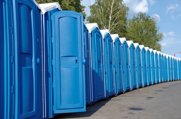 Best Sanitation services for porta potties  in Petoskey, MI